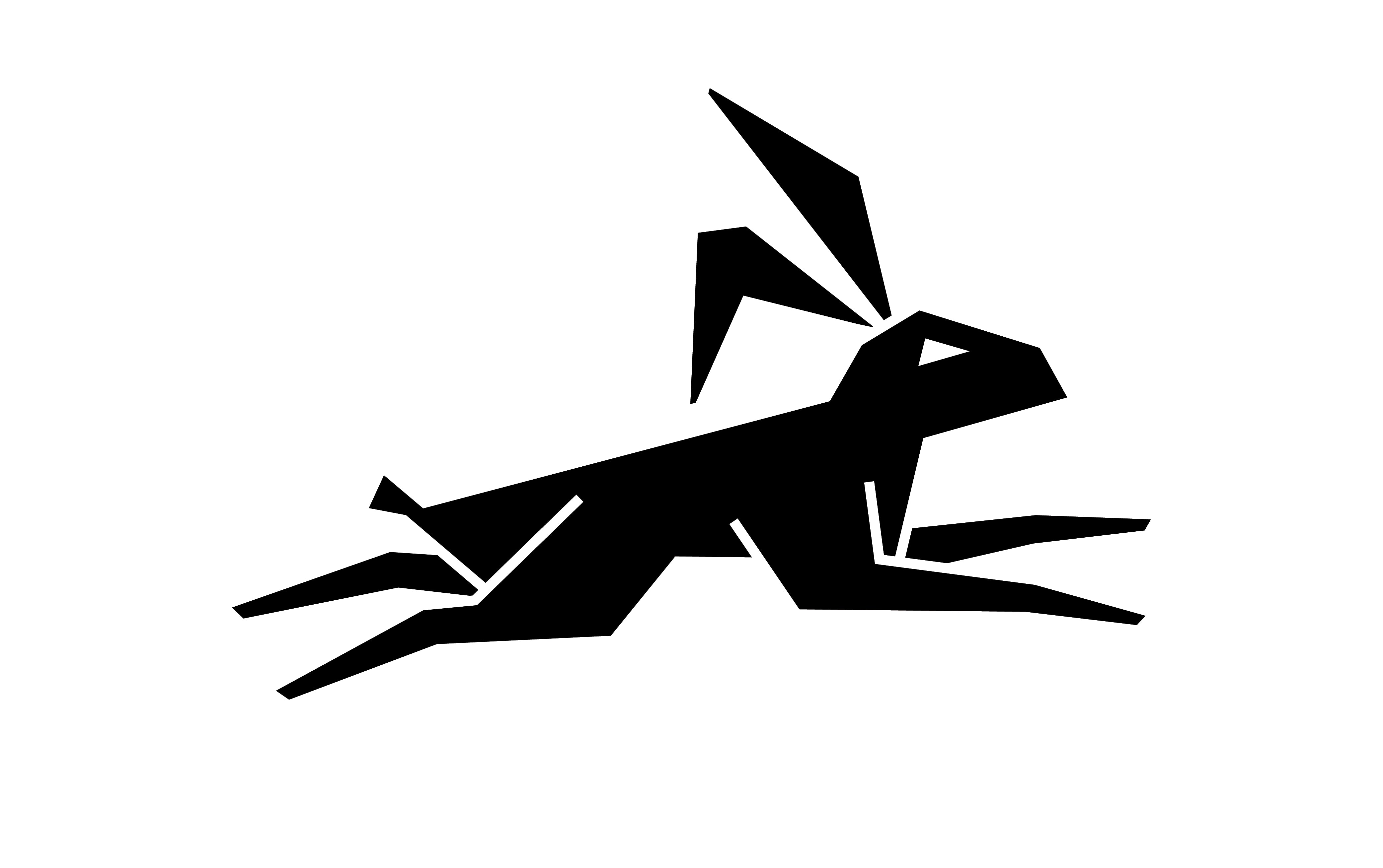 Rappidly Rappid Rabbits Produkte – rappid.