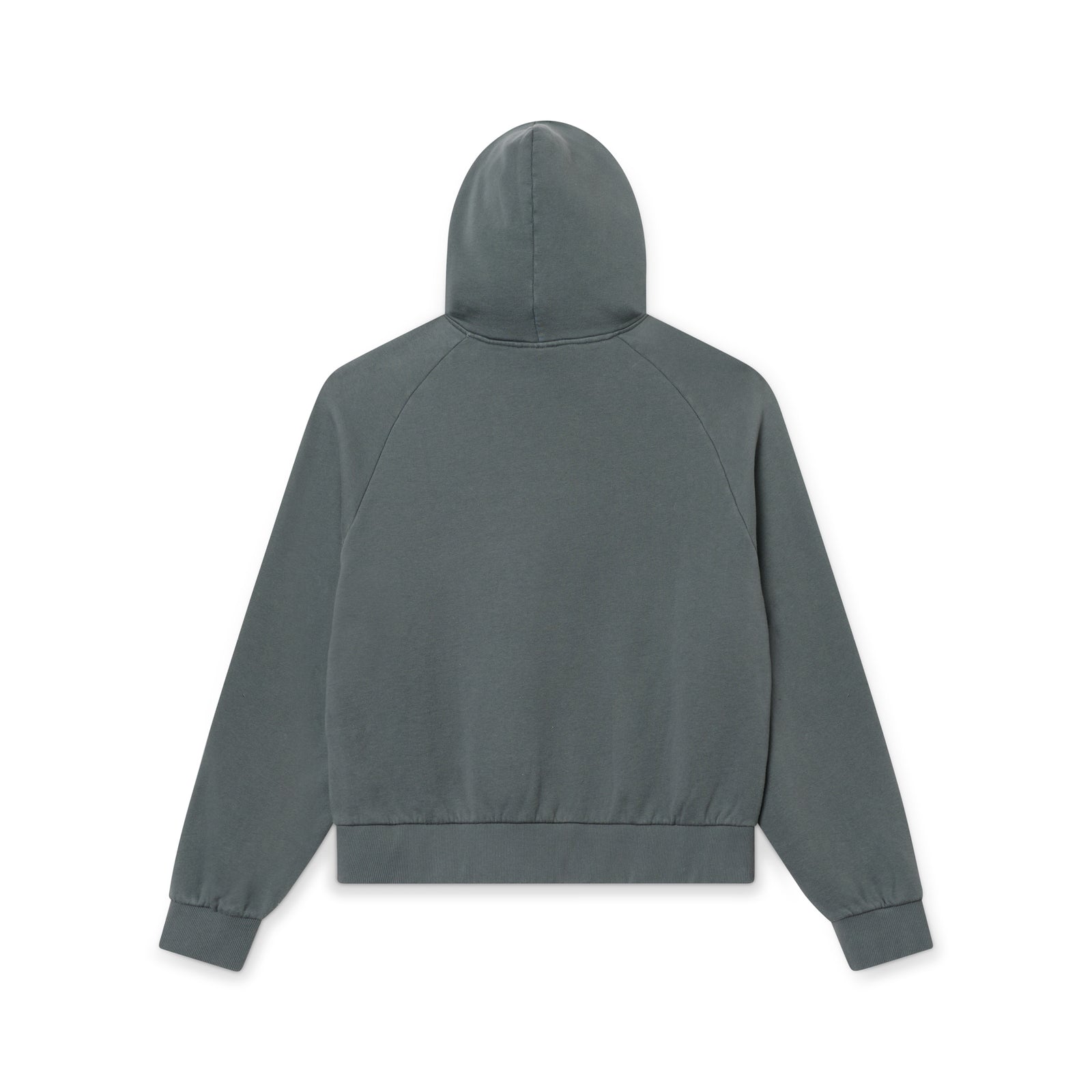 Collegial Hoodie CHR