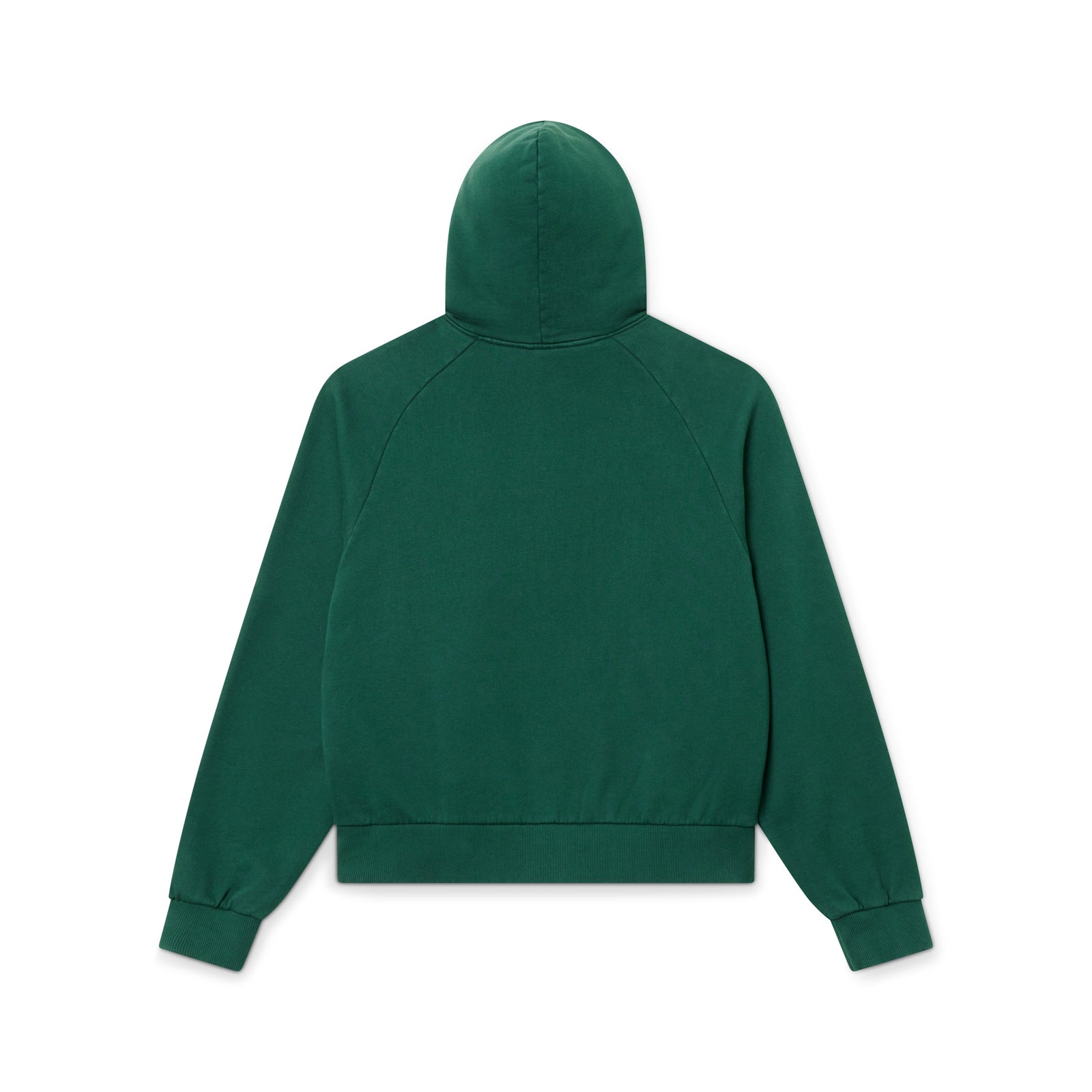 Collegial Hoodie